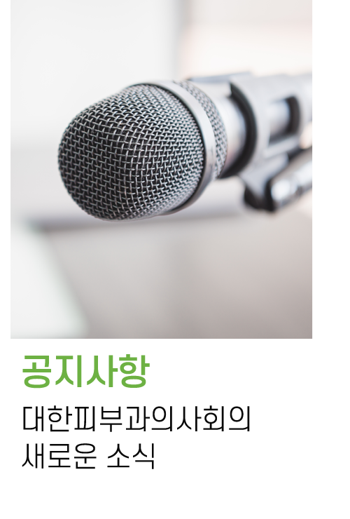 공지사항